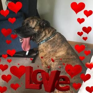 Meet your Posher, Deb